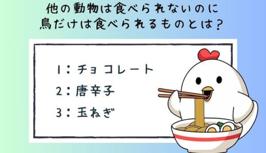 動物のおもしろ雑学クイズ14「鳥だけが食べられるものとは？」