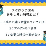 動物のおもしろ雑学クイズ20「フクロウの耳のおもしろい特徴」