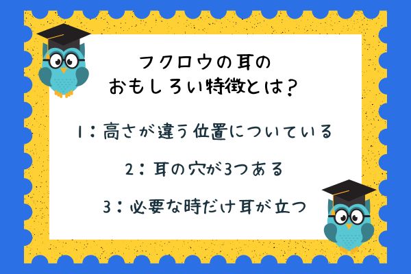 フクロウに関する雑学クイズ