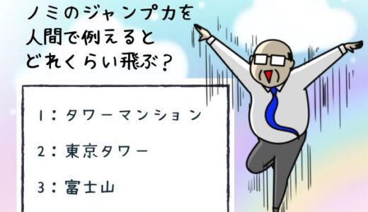 ノミの雑学クイズ