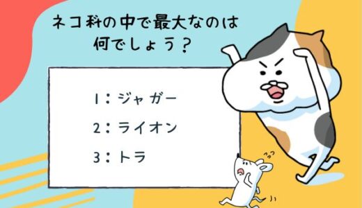 動物のおもしろ雑学クイズ19「ネコ科の中で最大の動物はなに？」