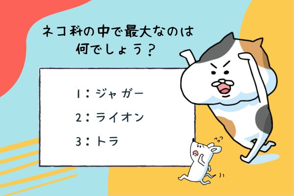 ネコ科の動物に関する雑学クイズ