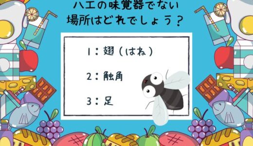 動物のおもしろ雑学クイズ18「ハエが味覚を感じる場所はどこ？」