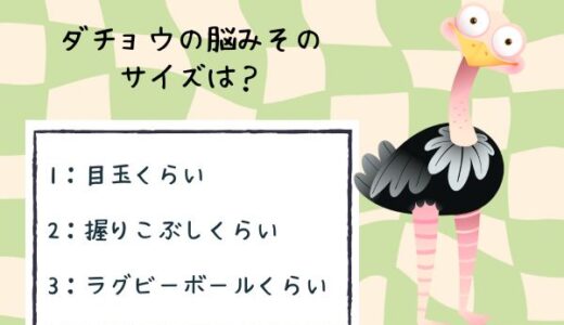 動物のおもしろ雑学クイズ17「ダチョウの脳みそサイズ」