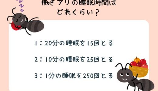 動物のおもしろ雑学クイズ21「働きアリの睡眠時間は？」