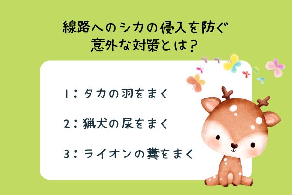 鉄道に関する雑学クイズ